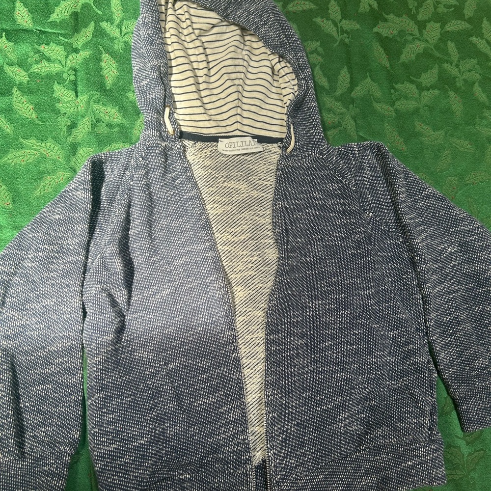 Men's Blue Hooded Sweater